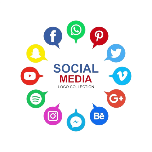 best seo expert in kerala